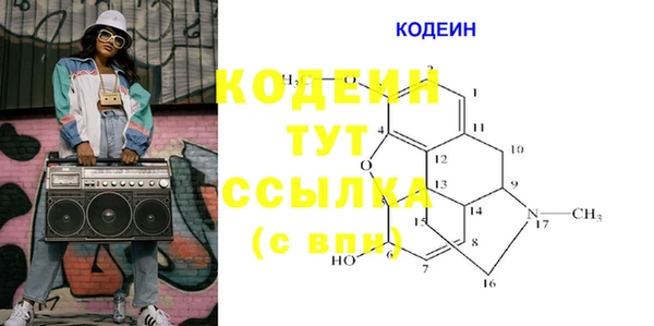шишки Новый Уренгой