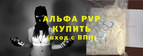 спиды Михайлов