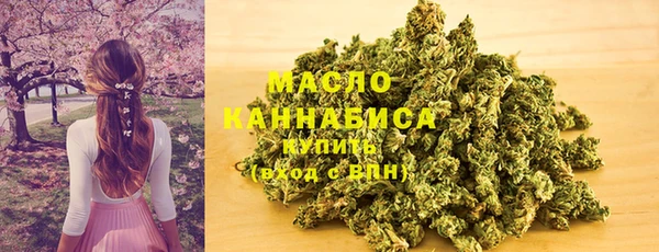 шишки Новый Уренгой