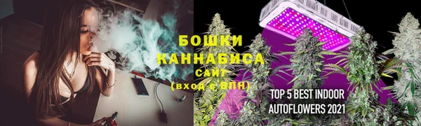 шишки Новый Уренгой