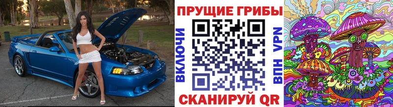 Псилоцибиновые грибы мухоморы  наркотики  Карабаново 