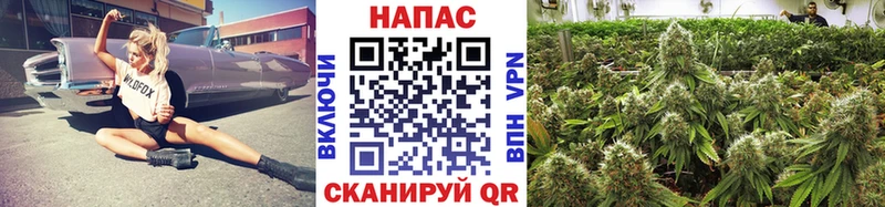 Марихуана White Widow  Карабаново 